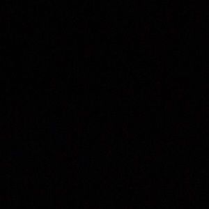 Meet your Posher, Allie